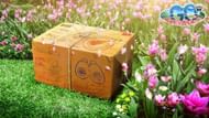 A special research package in Pokemon GO's Season of GO (Image via Niantic)